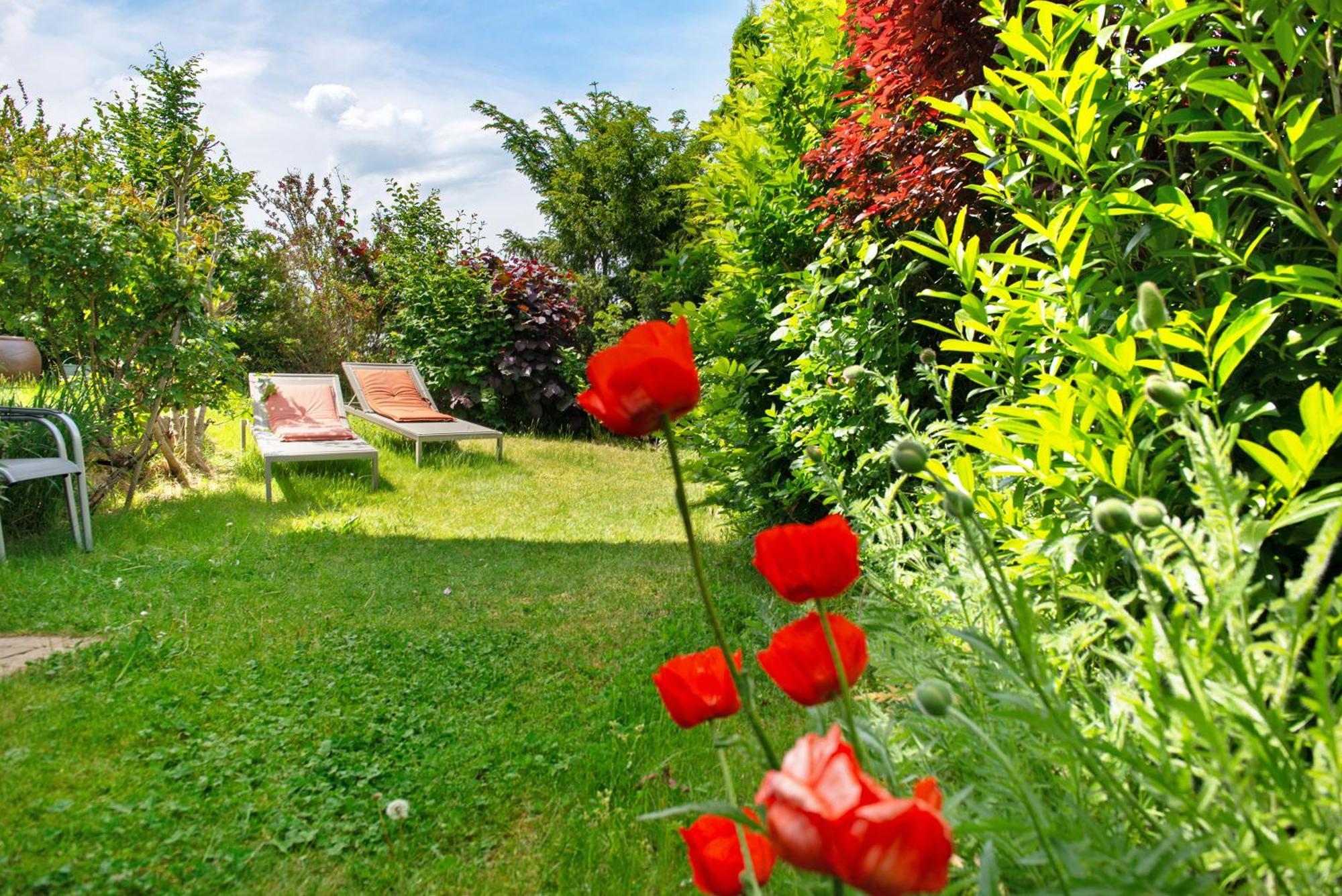 Ferienwohnungen Im Rosengarten Bodman-Ludwigshafen Exteriér fotografie
